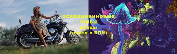 прущие крисы Новозыбков