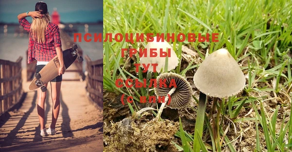 МДМА Новокубанск