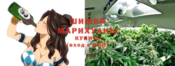 прущие крисы Новозыбков