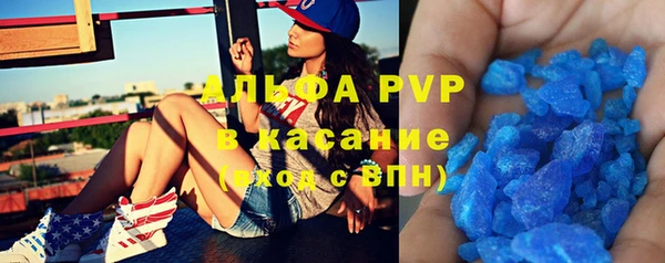 прущие крисы Новозыбков