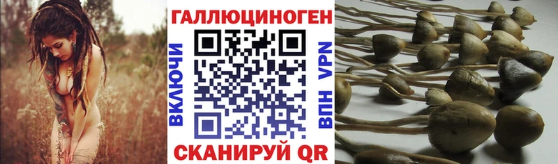 Галлюциногенные грибы мухоморы  Облучье 